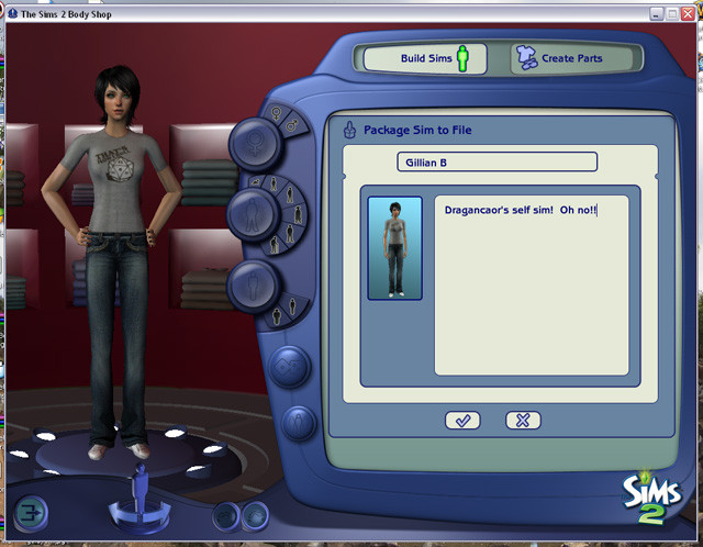 sims 2 package installer